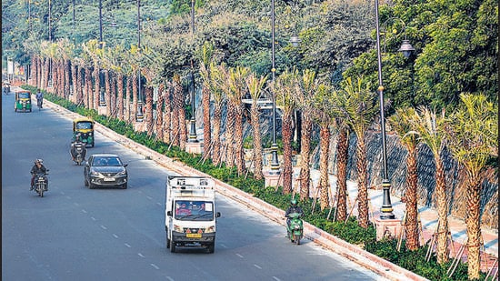 The exercise was initiated nearly a year ago from three nurseries of NDMC — Lodhi Gardens, Madhu Limay Marg and Satya Sadan — from where these plants have been sourced. (HT Archive)
