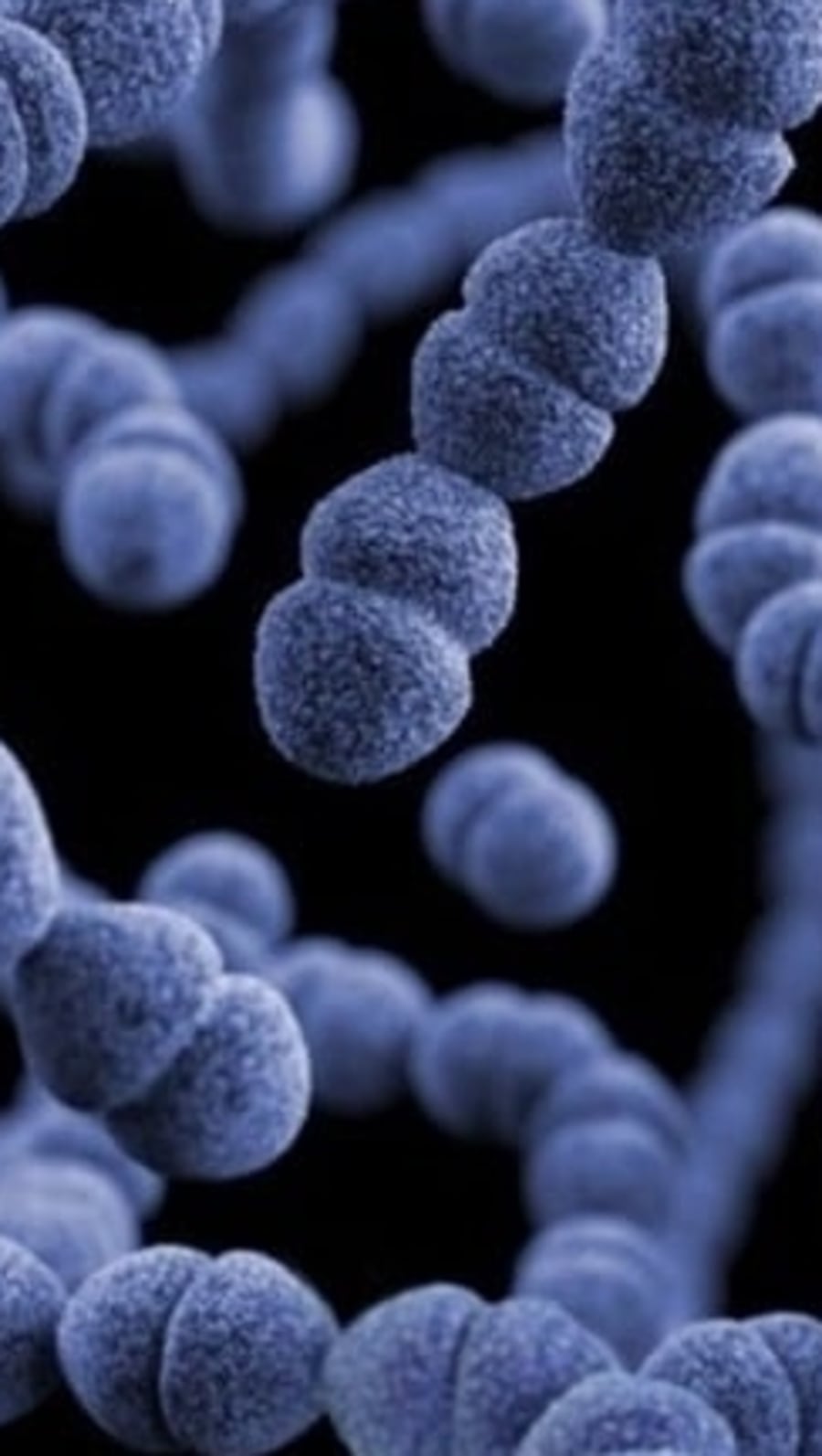 Bacteria (Unsplash)