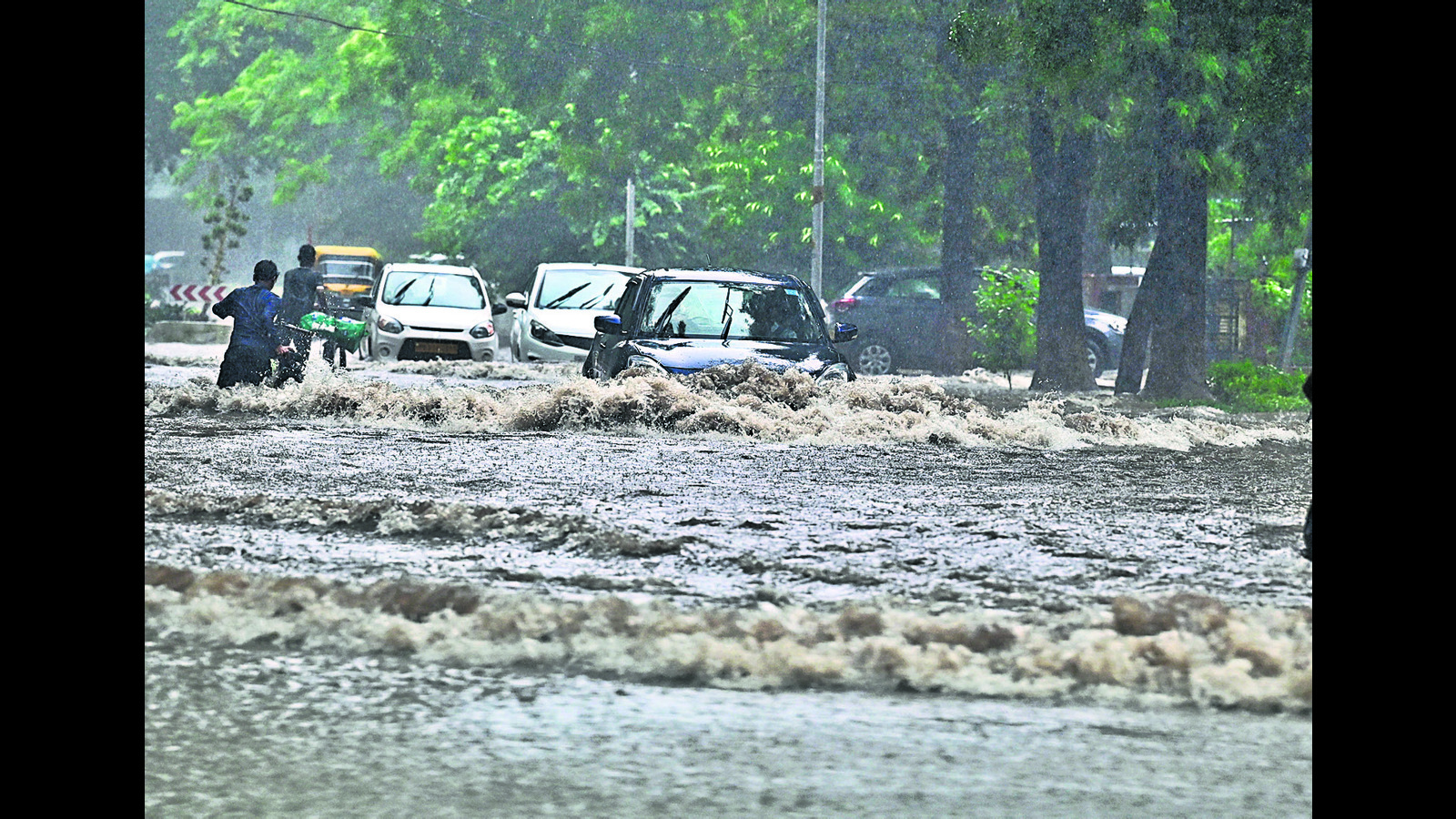 With 103 mm rain, Chandigarh crosses annual quota - Vimarsana News