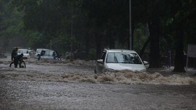 A waterlogged stretch on Panjab University campus in Chandigarh on Wednesday after heavy overnight rain. (Ravi Kumar/HT)