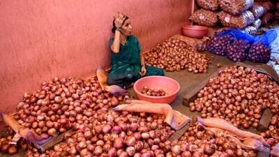 APMCs in Nashik has decided to resume auctions from Thursday after meeting Union minister Dr Bharati Pawar, (HT FILE) APMCs in Nashik has decided to resume auctions from Thursday after meeting Union minister Dr Bharati Pawar, (HT FILE)
