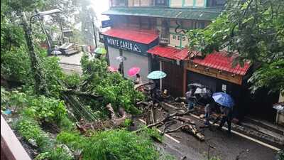 An uprooted tree fell on the Mall Road due to heavy rain in Shimla on Wednesday. The IMD had issued a red alert for eight districts of Himachal, predicting heavy to very heavy rainfall, and subsequent flash flood risks. (Deepak Sansta/HT)