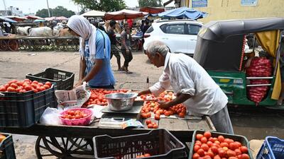 Greater Noida authority officials said that the company will conduct regular inspections and ensure various activities such as stall maintenance, waste disposal, etc. The company will also investigate whether the vending activities are impeding traffic movement. (Representational Image/Parveen Kumar/HT Photo) Greater Noida authority officials said that the company will conduct regular inspections and ensure various activities such as stall maintenance, waste disposal, etc. The company will also investigate whether the vending activities are impeding traffic movement. (Representational Image/Parveen Kumar/HT Photo)