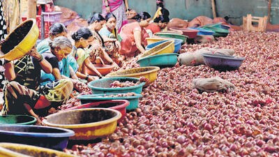 Navi Mumbai, India - Aug. 23, 2023:Workers sort Onions at a cold storage in Bajrang ice factory & Cold storage, after Union Government imposes 40 percent duty on exports of Onions at Sector -18 Vashi in Navi Mumbai, India, on Wednesday, August 23, 2023. (Photo by Bachchan Kumar/ HT PHOTO) (HT PHOTO) Navi Mumbai, India - Aug. 23, 2023:Workers sort Onions at a cold storage in Bajrang ice factory & Cold storage, after Union Government imposes 40 percent duty on exports of Onions at Sector -18 Vashi in Navi Mumbai, India, on Wednesday, August 23, 2023. (Photo by Bachchan Kumar/ HT PHOTO) (HT PHOTO)