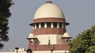 The NIA filed an affidavit before the top court on Tuesday detailing activist Shoma Sen’s role in the entire conspiracy. (HT file photo) The NIA filed an affidavit before the top court on Tuesday detailing activist Shoma Sen’s role in the entire conspiracy. (HT file photo)