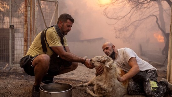 As Wednesday dawns, numerous regions, including those near Athens and Alexandroupolis where fires are already active, remain on high alert for potential wildfires.&nbsp;(REUTERS)