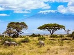 Kenya invites investors for game reserves, marine parks, ecolodges and more to boost tourism 