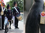 The image shows a penguin named Sir Nils who holds the third highest rank in the Norwegian Army. The image shows a penguin named Sir Nils who holds the third highest rank in the Norwegian Army.