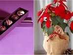 The value of a Raksha Bandhan gift is in the thought and care you put into it. 