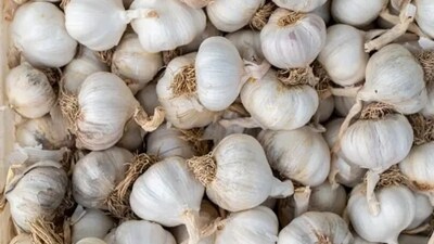 Having four or five raw cloves of garlic every day helps in keeping the immune system strong. (Unsplash) Having four or five raw cloves of garlic every day helps in keeping the immune system strong. (Unsplash)