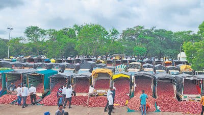 The protestors rued that the government-proposed centres to sale their produce at ₹2,410 per quintal, as promised by National Agricultural Cooperative Marketing Federation of India (NAFED), an apex organisation under the Union agriculture ministry and National Cooperative Consumers’ Federation (NCCF), were also not set up. (HT PHOTO) The protestors rued that the government-proposed centres to sale their produce at ₹2,410 per quintal, as promised by National Agricultural Cooperative Marketing Federation of India (NAFED), an apex organisation under the Union agriculture ministry and National Cooperative Consumers’ Federation (NCCF), were also not set up. (HT PHOTO)