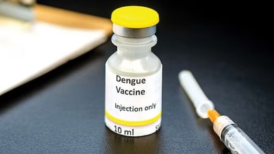 A picture of dengue vaccine (For representation purpose only) A picture of dengue vaccine (For representation purpose only)