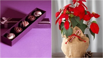 The value of a Raksha Bandhan gift is in the thought and care you put into it. (Freepik/Unsplash) The value of a Raksha Bandhan gift is in the thought and care you put into it. (Freepik/Unsplash)