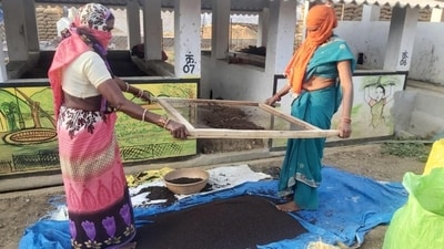 Rural women from self help groups in Chhattisgarh engaged in making of vermicompost from cow dung. (HT Photo) Rural women from self help groups in Chhattisgarh engaged in making of vermicompost from cow dung. (HT Photo)