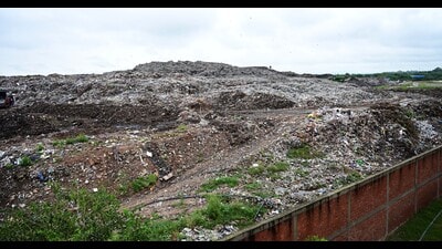 As the long-term projects for waste management projects of Chandigarh municipal corporation are months away from getting operational, unprocessed wet waste is being dumped at the Dadumajra landfill. (Keshav Singh/HT) As the long-term projects for waste management projects of Chandigarh municipal corporation are months away from getting operational, unprocessed wet waste is being dumped at the Dadumajra landfill. (Keshav Singh/HT)