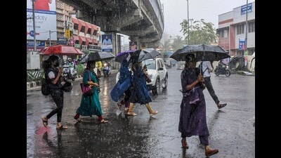 Kerala recorded 894.1 mm rainfall against a normal of 1,681.7 mm between June 1 and August 25 this year (HT Photo) Kerala recorded 894.1 mm rainfall against a normal of 1,681.7 mm between June 1 and August 25 this year (HT Photo)