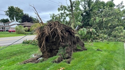 A tree is uprooted outside a home on Friday, Aug. 25, 2023, in Canton Township, Mich. A strong storm powered by winds of up to 75 mph (121 kph) in Michigan downed trees, tore roofs off buildings and left hundreds of thousands of customers without power. (AP) A tree is uprooted outside a home on Friday, Aug. 25, 2023, in Canton Township, Mich. A strong storm powered by winds of up to 75 mph (121 kph) in Michigan downed trees, tore roofs off buildings and left hundreds of thousands of customers without power. (AP)