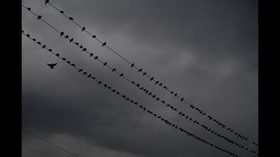 Throughout the day, the weather was cloudy accompanied by intermittent light showers and traffic moved slowly in some areas. (REPRESENTATIVE PIC) Throughout the day, the weather was cloudy accompanied by intermittent light showers and traffic moved slowly in some areas. (REPRESENTATIVE PIC)