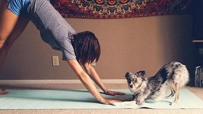 Puppy Yoga has become quite a rage nowadays as people are also allowing their animal companions to accompany them on Yoga mats multiplying their joy and mindfulness as well as adding to their pets' happiness. (Pinterest) Puppy Yoga has become quite a rage nowadays as people are also allowing their animal companions to accompany them on Yoga mats multiplying their joy and mindfulness as well as adding to their pets' happiness. (Pinterest)