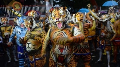 Pulikali (Tiger dance) is a folk dance form that is performed during the fourth day of the Onam festival. On this day devotees disguise themselves as tiger by painting their faces and bodies like tigers with stripes of yellow, red and black and dance to the rhythm of traditional percussion instruments such as thakil, udukku and chenda. Pulikali (Tiger dance) is a folk dance form that is performed during the fourth day of the Onam festival. On this day devotees disguise themselves as tiger by painting their faces and bodies like tigers with stripes of yellow, red and black and dance to the rhythm of traditional percussion instruments such as thakil, udukku and chenda. 