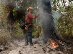 A firefighter with the British Columbia Wildfire Service Titan unit crew marks a dangerous tree on the southeastern flank of the Bush Creek wildfire in Turtle Valley.
