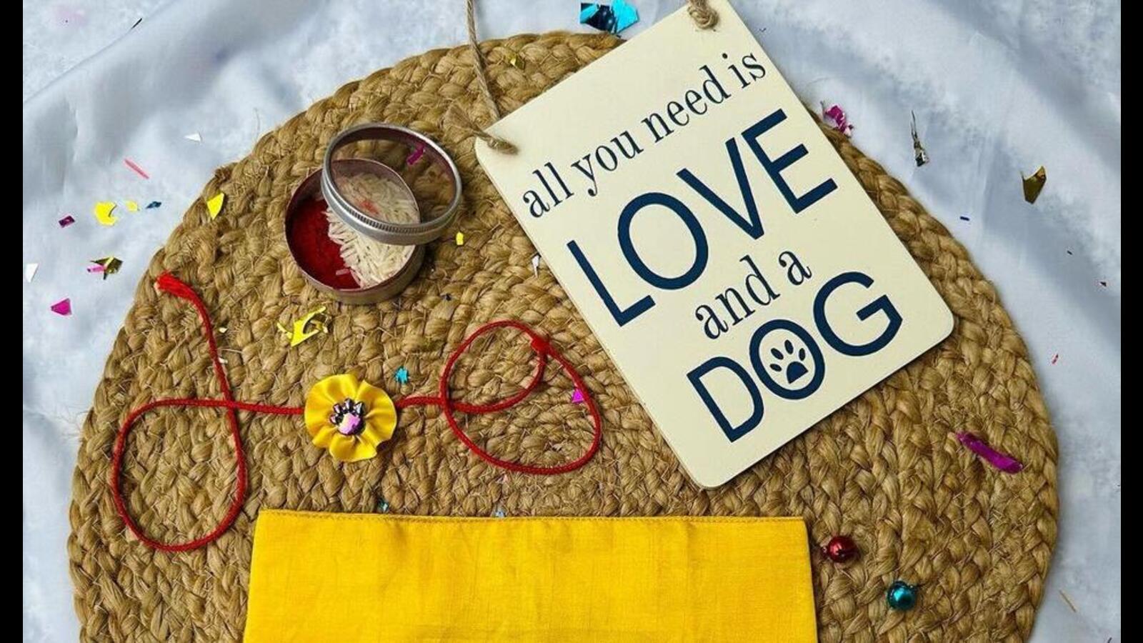 International Dog Day: Pampered pooches of Delhi woof over rakhi! - Vimarsana News