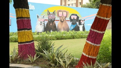 Dog Park in Noida’s Sector 137 has become a haven for pets and strays alike. (Photo: Raajessh Kashyap/HT) Dog Park in Noida’s Sector 137 has become a haven for pets and strays alike. (Photo: Raajessh Kashyap/HT)