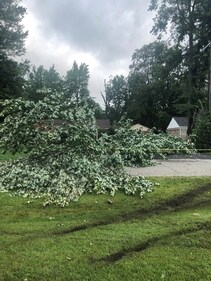 Part of tree lies in a street Friday, Aug. 25, 2023, after pulling down overhead powerlines on Midway Avenue in Southfield, Mich., north of Detroit. Severe storms powered by winds of up to 75 mph (121 kph) in Michigan downed trees, tore roofs off buildings and killed several people while leaving hundreds of thousands of customers without power, officials said. The National Weather Service said Friday some of the damage may have been caused by two tornadoes. (AP Photo/Corey R. Williams) (AP) Part of tree lies in a street Friday, Aug. 25, 2023, after pulling down overhead powerlines on Midway Avenue in Southfield, Mich., north of Detroit. Severe storms powered by winds of up to 75 mph (121 kph) in Michigan downed trees, tore roofs off buildings and killed several people while leaving hundreds of thousands of customers without power, officials said. The National Weather Service said Friday some of the damage may have been caused by two tornadoes. (AP Photo/Corey R. Williams) (AP)