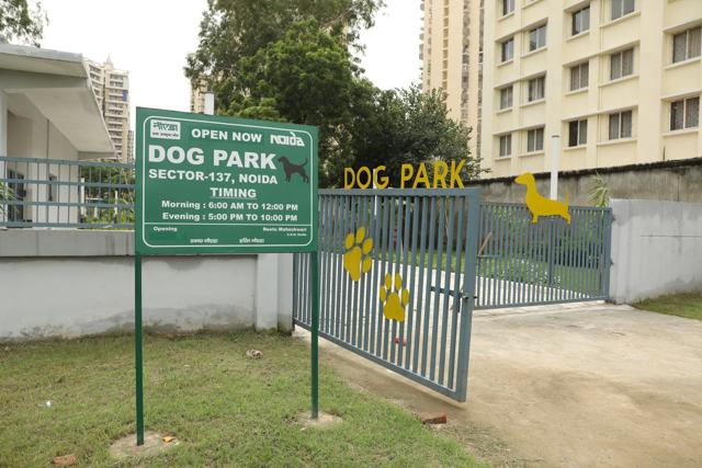 A wetland park acts as an entrance to the main Dog Park, which will soon have a canteen and vet clinic. (Photo: Raajessh Kashyap/HT) A wetland park acts as an entrance to the main Dog Park, which will soon have a canteen and vet clinic. (Photo: Raajessh Kashyap/HT)