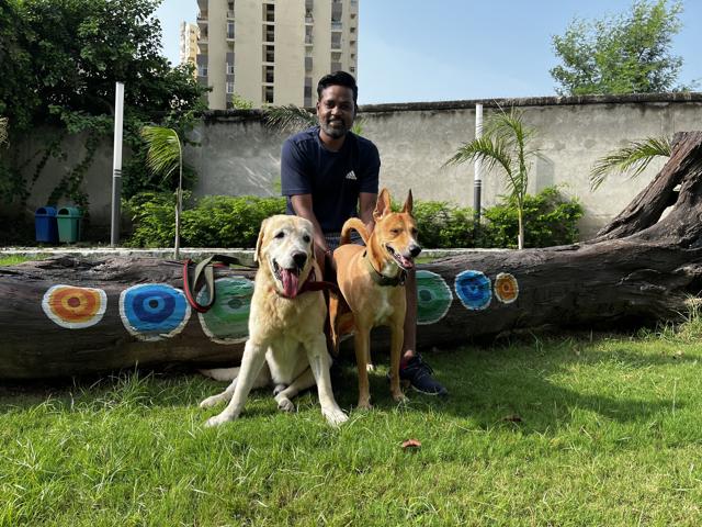 Coco, the lab, and Junior, the indie, recently moved to Noida from Mumbai and love the open space. (Photo: Kriti Kambiri/HT) Coco, the lab, and Junior, the indie, recently moved to Noida from Mumbai and love the open space. (Photo: Kriti Kambiri/HT)