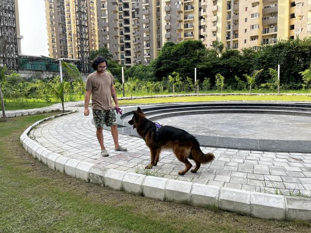 Shadow, the German Shepherd, plays fetch with his humans twice a day at the park. (Photo: Kriti Kambiri/HT) Shadow, the German Shepherd, plays fetch with his humans twice a day at the park. (Photo: Kriti Kambiri/HT)