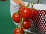 cherry_tomatoes
