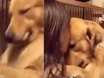 The image shows the dog’s heartwarming reaction upon finding its new pet parent. The image shows the dog’s heartwarming reaction upon finding its new pet parent.