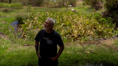 Keʻeaumoku Kapu poses for photos on his taro farm near Lahaina, Hawaii, Wednesday, Aug. 16, 2023. A deadly Maui wildfire is renewing tensions over Maui stream water rights. (AP Photo/Jae C. Hong) (AP) Keʻeaumoku Kapu poses for photos on his taro farm near Lahaina, Hawaii, Wednesday, Aug. 16, 2023. A deadly Maui wildfire is renewing tensions over Maui stream water rights. (AP Photo/Jae C. Hong) (AP)