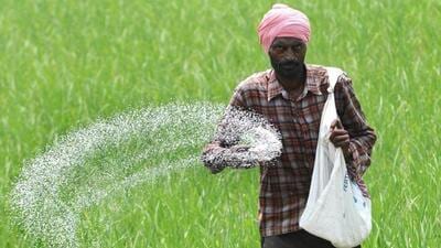 Punjab needs 5.25 lakh tonnes of DAP during the rabi season and so far the state cooperative has bought only 20,000 tonnes Punjab needs 5.25 lakh tonnes of DAP during the rabi season and so far the state cooperative has bought only 20,000 tonnes