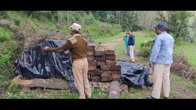 The raid involved around 150 forest personnel. (Sourced) The raid involved around 150 forest personnel. (Sourced)