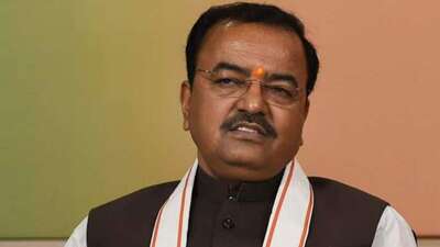 Though videos of Maurya’s campaign address weren’t available, party leaders said during his speech the deputy CM did make a reference to ‘cobra’. (Pic for representation only)