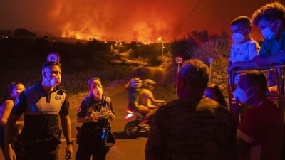 Many places around the world to have suffered catastrophic wildfires this summer, including the Spanish island of Tenerife (Arturo Rodriguez/AP/picture alliance) Many places around the world to have suffered catastrophic wildfires this summer, including the Spanish island of Tenerife (Arturo Rodriguez/AP/picture alliance)