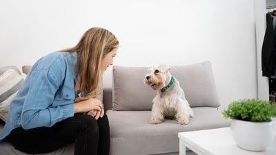 It's widely understood that most pets thrive on human companionship and can experience stress or boredom when left alone for extended periods. (Freepik) It's widely understood that most pets thrive on human companionship and can experience stress or boredom when left alone for extended periods. (Freepik)