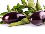 "Its regular consumption may improve digestion, promote strong and healthy bones, aid weight loss, improve digestive health, prevent anemia, lower the risk of developing cancer, regulate sugar levels, and improve brain function. Eggplants can be eaten in many different ways," says Nutritionist Lovneet Batra.