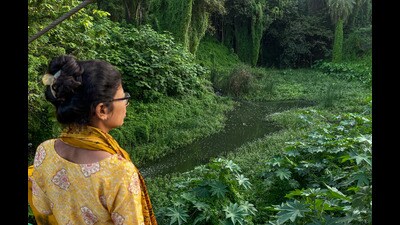 The number of vector-borne disease cases is on the rise in the city with several dengue cases reported in private facilities. (KALPESH NUKTE/ HT PHOTO) The number of vector-borne disease cases is on the rise in the city with several dengue cases reported in private facilities. (KALPESH NUKTE/ HT PHOTO)