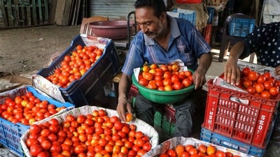 Tomatoes may have hogged the recent headlines, but the recent vegetable price rise is broad-based (PTI) Tomatoes may have hogged the recent headlines, but the recent vegetable price rise is broad-based (PTI)