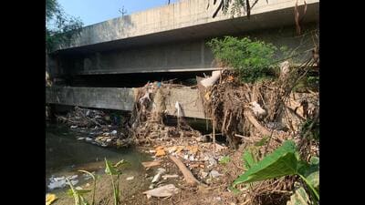 The sewage in the N-choe pose health hazard to residents living in its vicinity in Mohali, said the mayor. (HT PHOTO) The sewage in the N-choe pose health hazard to residents living in its vicinity in Mohali, said the mayor. (HT PHOTO)