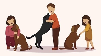 Your dog’s best food will depend on its unique needs, most importantly their life stage, weight, and known medical conditions (Freepik) Your dog’s best food will depend on its unique needs, most importantly their life stage, weight, and known medical conditions (Freepik)