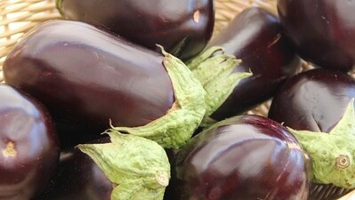 Eggplant is a high-fibre, low-calorie food that is rich in nutrients and comes with many potential health benefits. (Pixabay) Eggplant is a high-fibre, low-calorie food that is rich in nutrients and comes with many potential health benefits. (Pixabay)