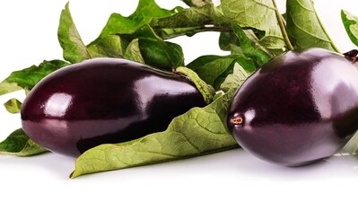 "Its regular consumption may improve digestion, promote strong and healthy bones, aid weight loss, improve digestive health, prevent anemia, lower the risk of developing cancer, regulate sugar levels, and improve brain function. Eggplants can be eaten in many different ways," says Nutritionist Lovneet Batra. (Pixabay) "Its regular consumption may improve digestion, promote strong and healthy bones, aid weight loss, improve digestive health, prevent anemia, lower the risk of developing cancer, regulate sugar levels, and improve brain function. Eggplants can be eaten in many different ways," says Nutritionist Lovneet Batra. (Pixabay)