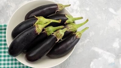 Also, polyphenols, or natural plant compounds, found in foods like eggplant may reduce sugar absorption and increase insulin secretion, both of which can help lower blood sugar. (Freepik) Also, polyphenols, or natural plant compounds, found in foods like eggplant may reduce sugar absorption and increase insulin secretion, both of which can help lower blood sugar. (Freepik)