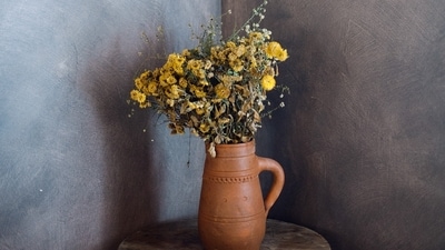 5 best artificial plants: Artificial plants are cost-effective home decor items. (Pexels) 5 best artificial plants: Artificial plants are cost-effective home decor items. (Pexels)