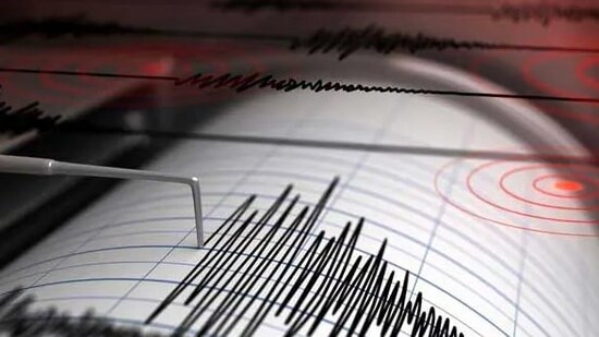 There were no immediate reports of damage, Indonesian disaster agency BNPB said. (Agencies)