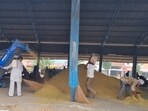 India’s exports make up more than 40% of global rice shipments. (HT Photo)